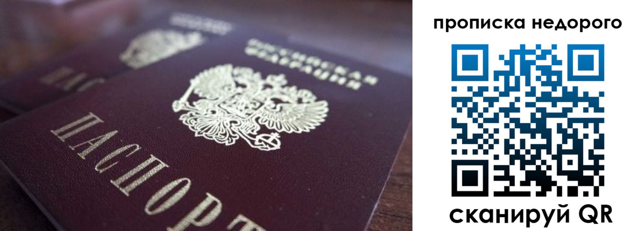 прописка штамп в Лосино-Петровском